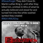 WHAT THEY DON'T WANT YOU TO KNOW ABOUT MLK JR