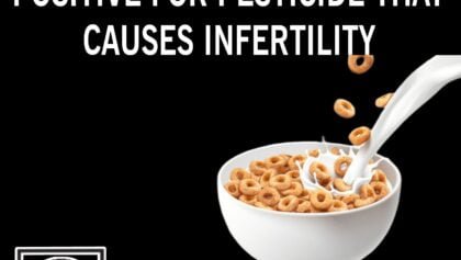 Picsart_24-02-17_13-11-58-956